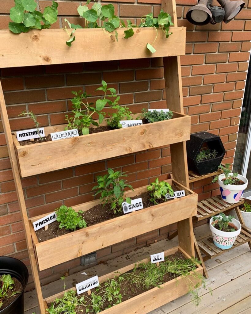 Wooden tiered ladder planter with various green herbs growing in wooden troughs against a brick wall.