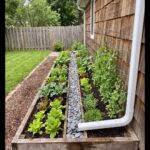 A long wooden raised garden bed filled with green leafy vegetables and a central stone path.