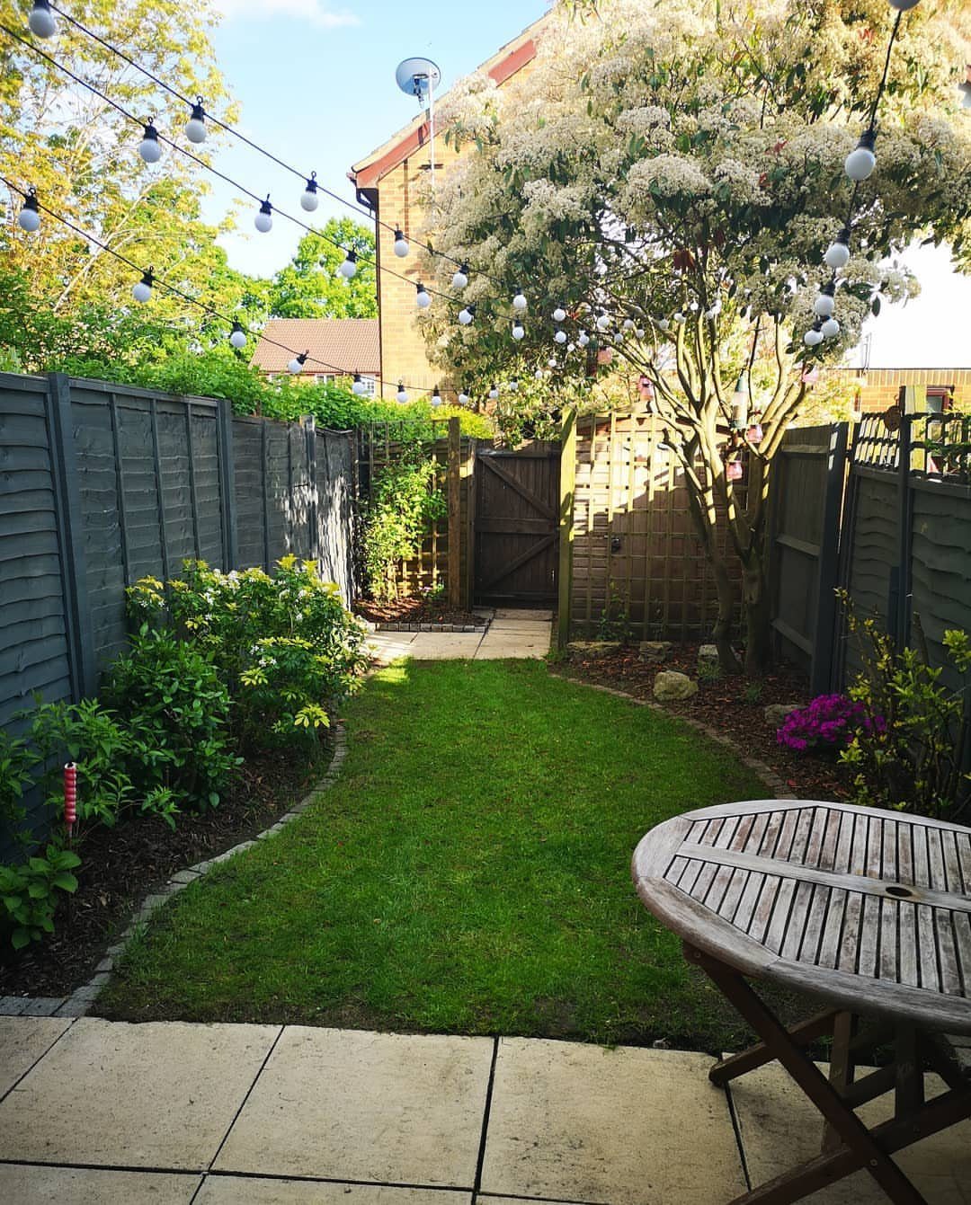 A narrow backyard garden with a small lawn, green plants, wooden fencing, and hanging string lights.